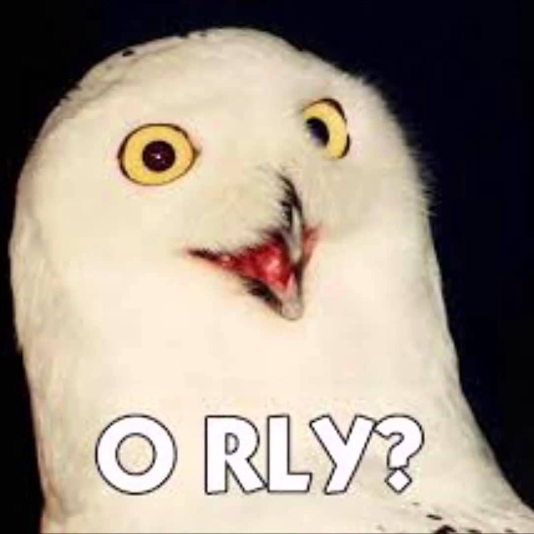 O RLY? owl meme image